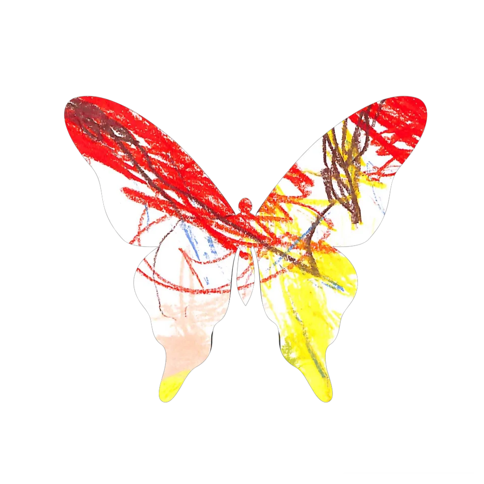 Original Butterfly Image