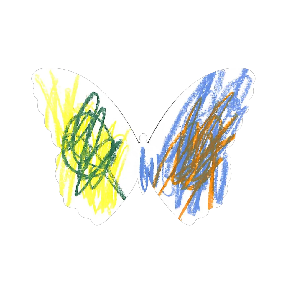 Original Butterfly Image