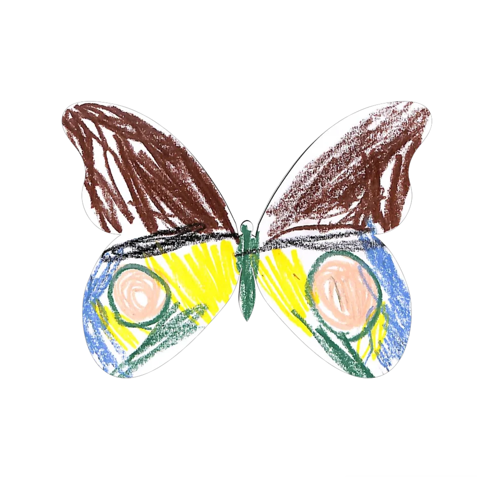 Original Butterfly Image