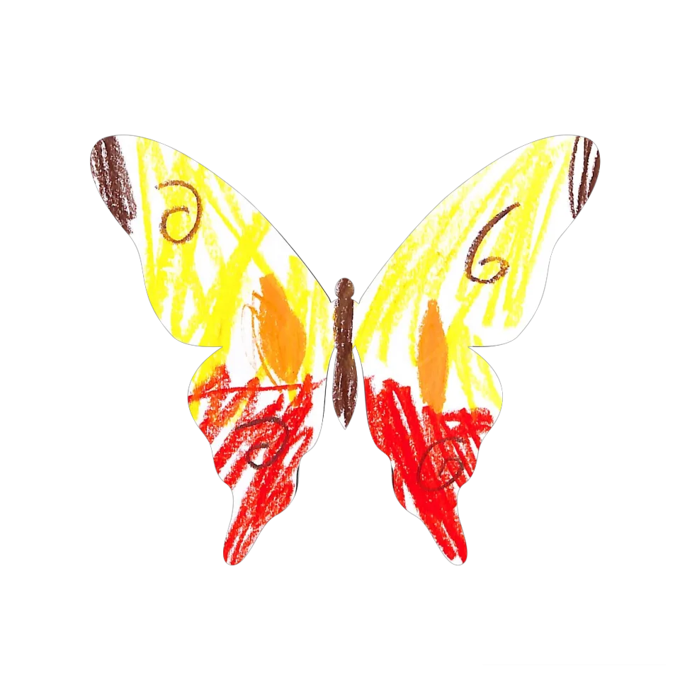 Original Butterfly Image