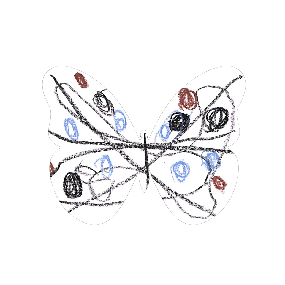 Original Butterfly Image