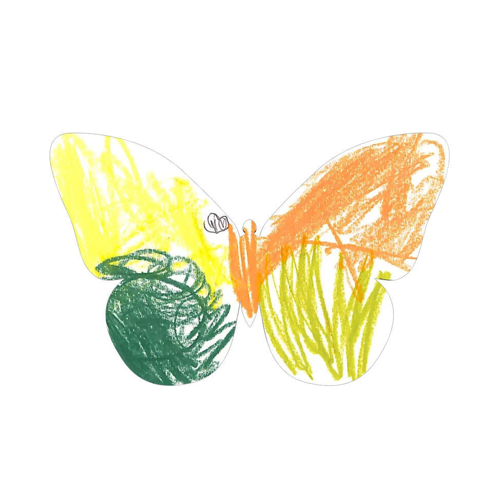 Original Butterfly Image