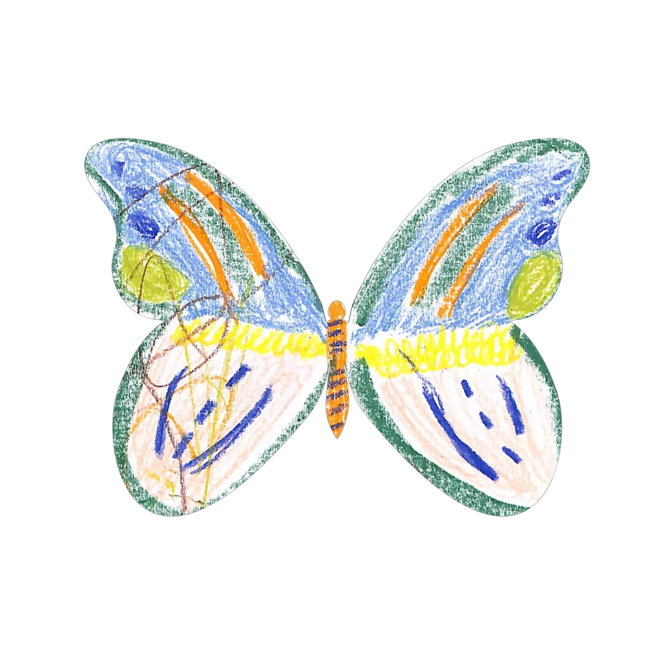 Original Butterfly Image