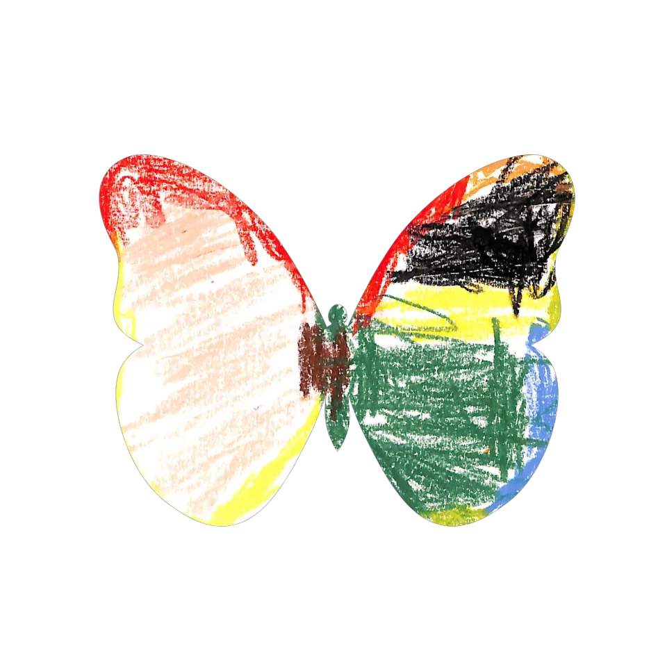 Original Butterfly Image
