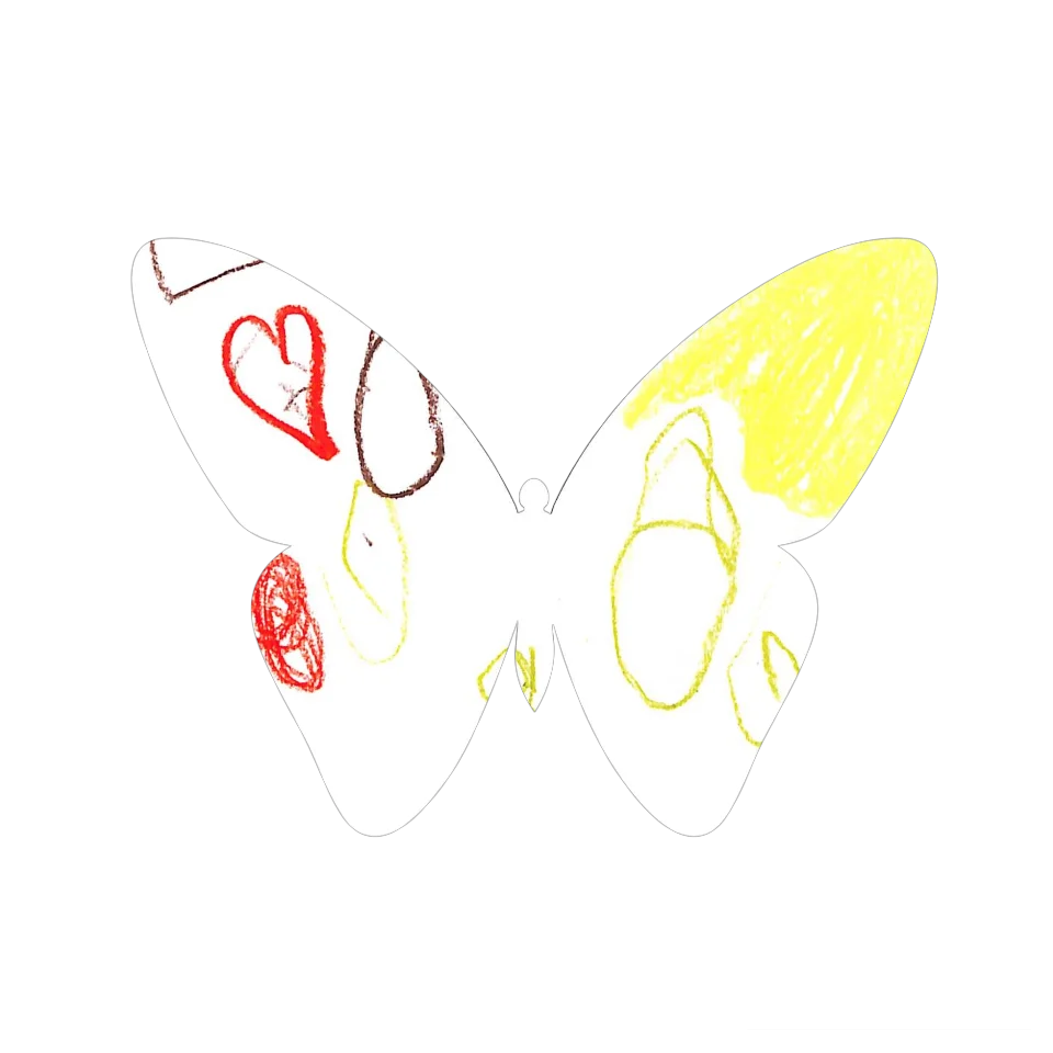 Original Butterfly Image