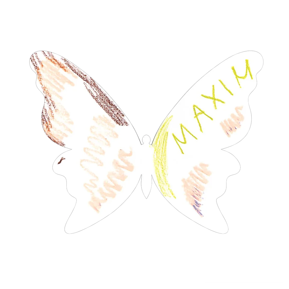 Original Butterfly Image