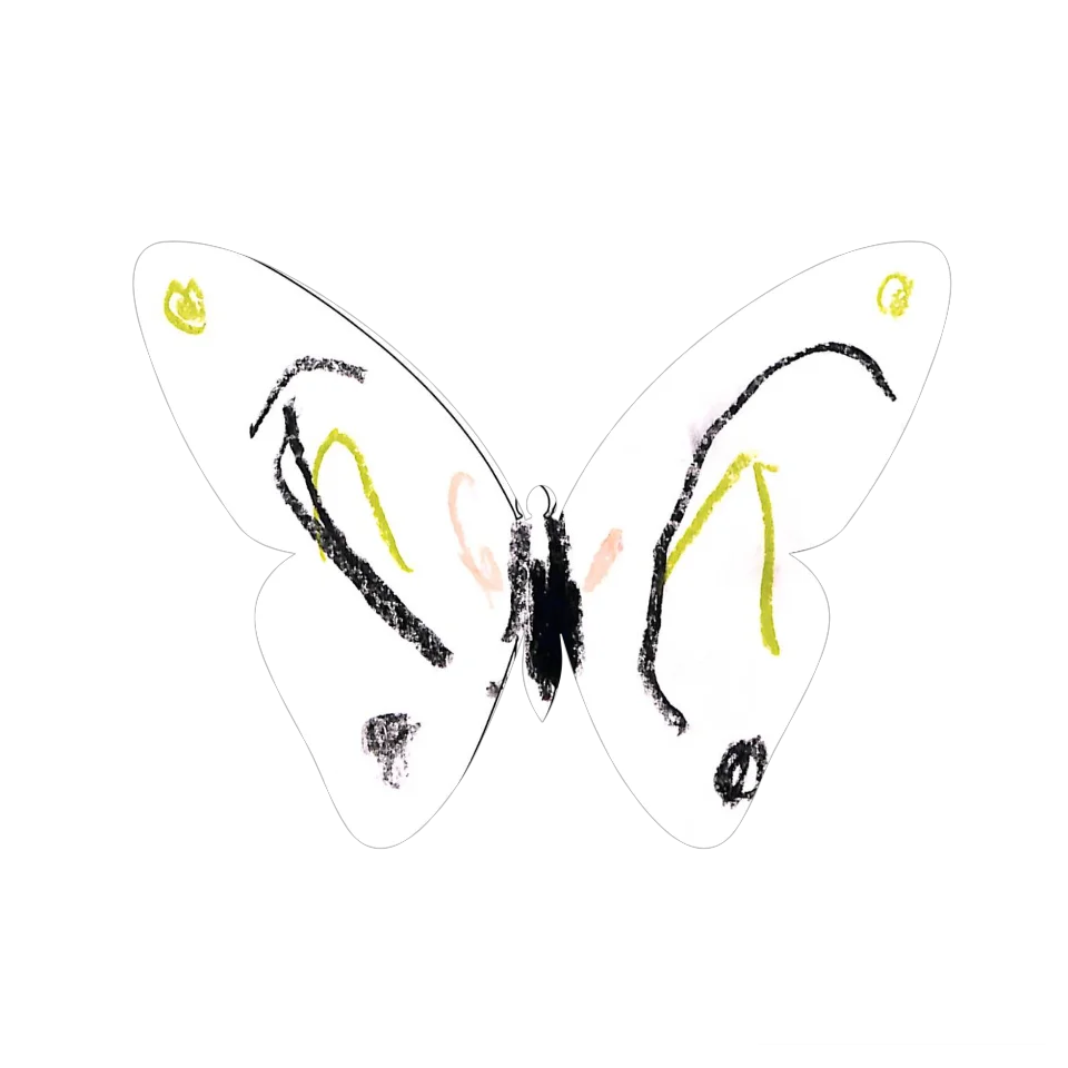 Original Butterfly Image