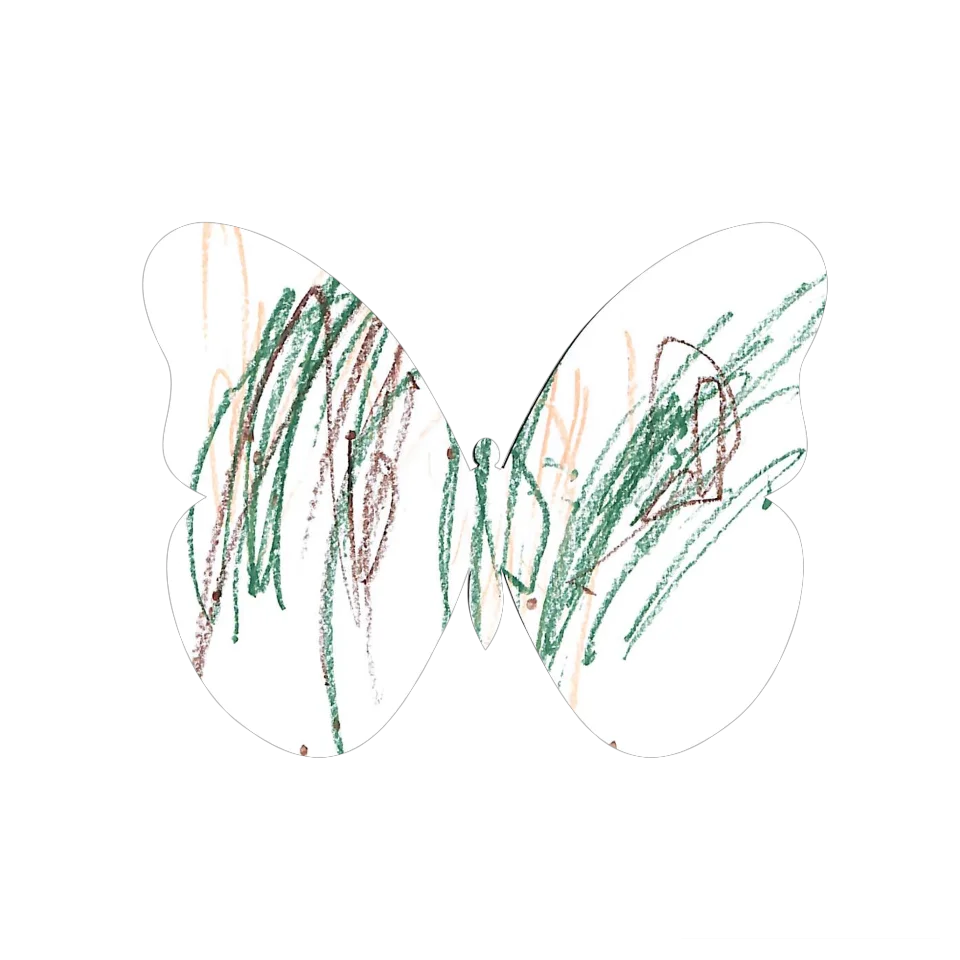 Original Butterfly Image