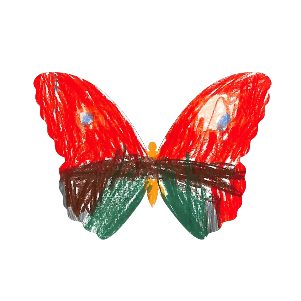 Original Butterfly Image