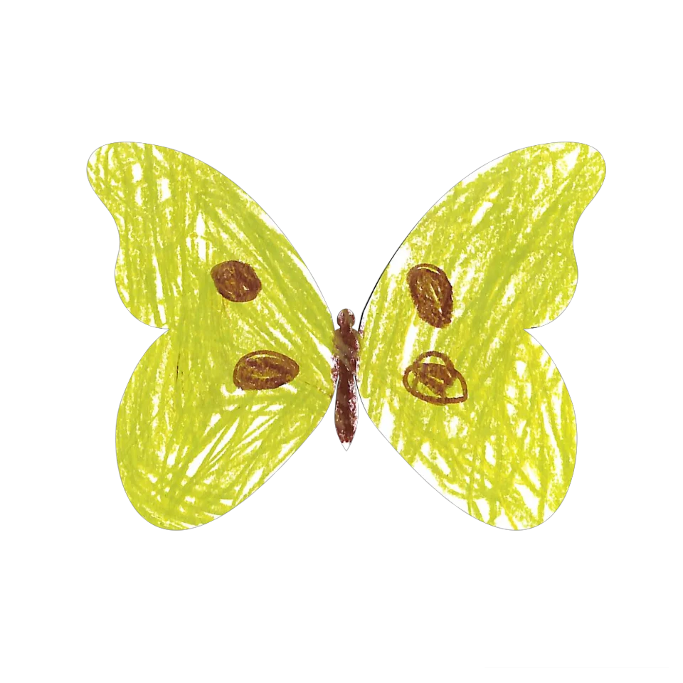 Original Butterfly Image