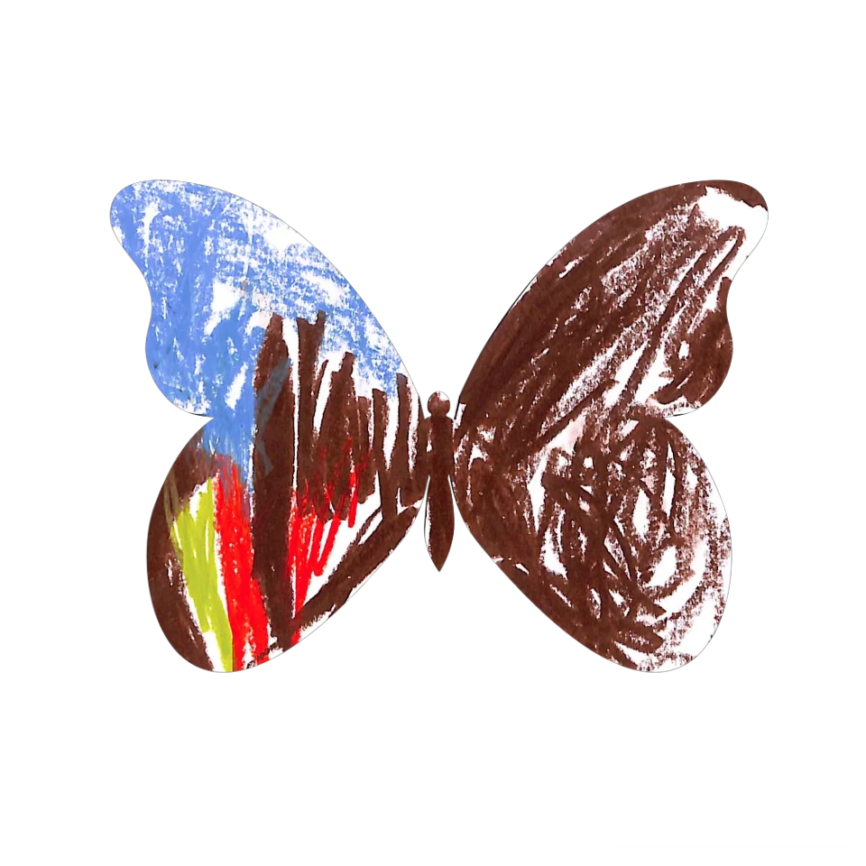 Original Butterfly Image