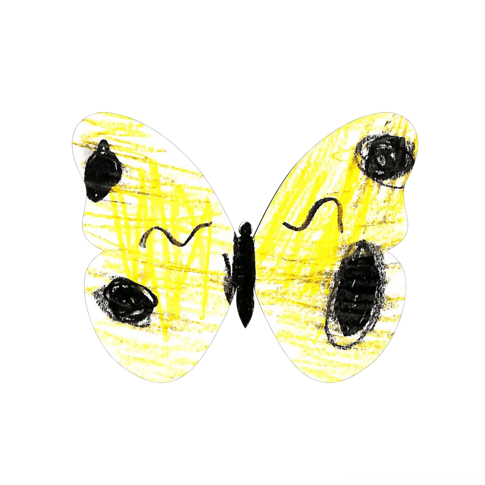 Original Butterfly Image