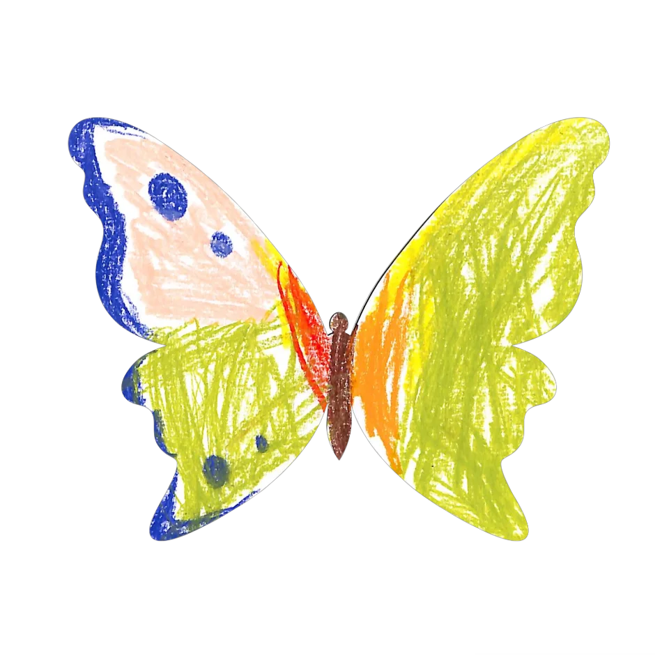 Original Butterfly Image