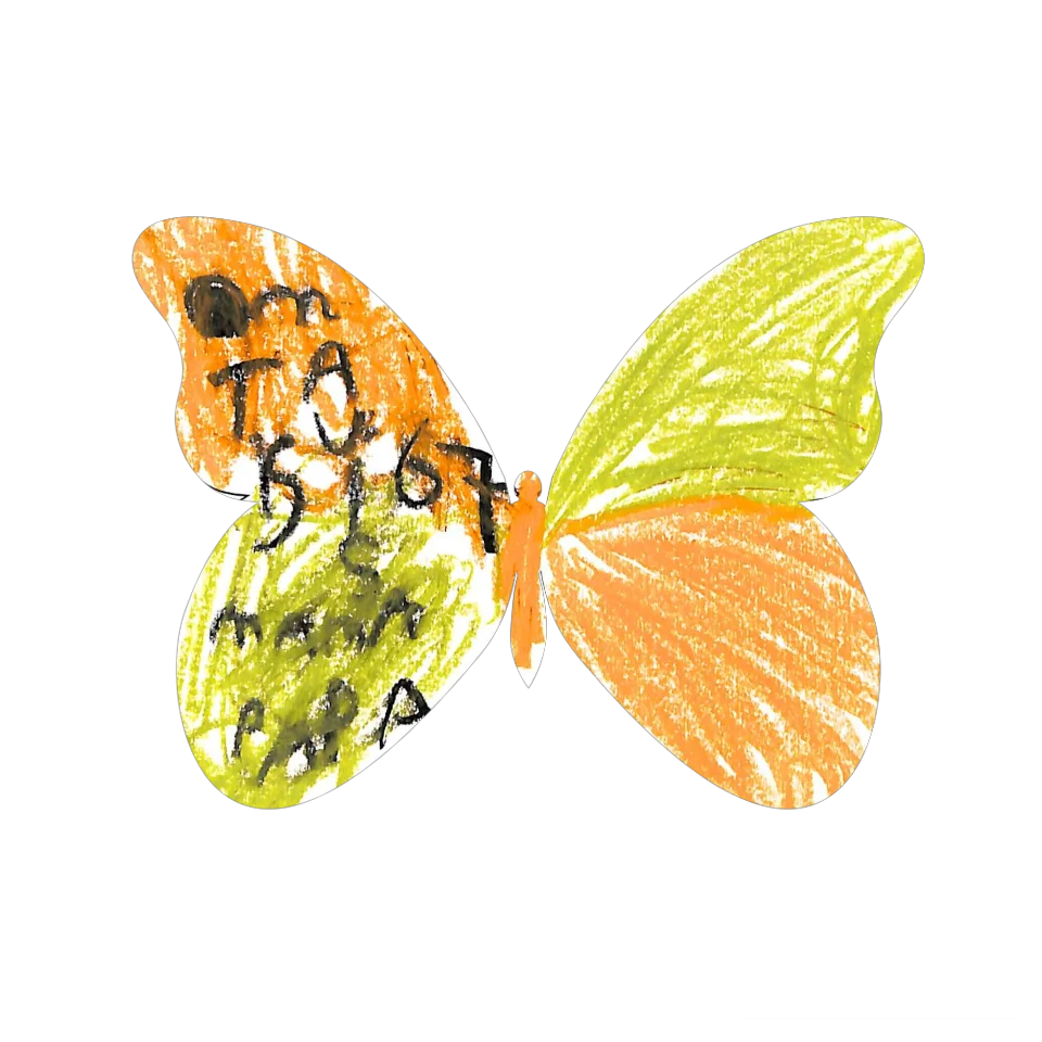 Original Butterfly Image