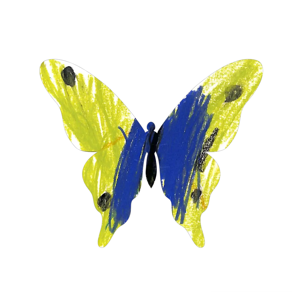 Original Butterfly Image