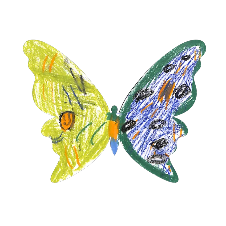 Original Butterfly Image