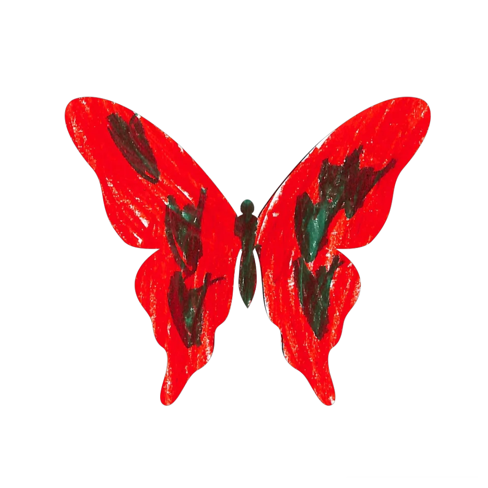 Original Butterfly Image
