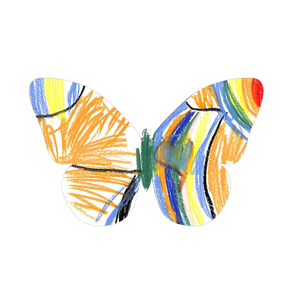 Original Butterfly Image