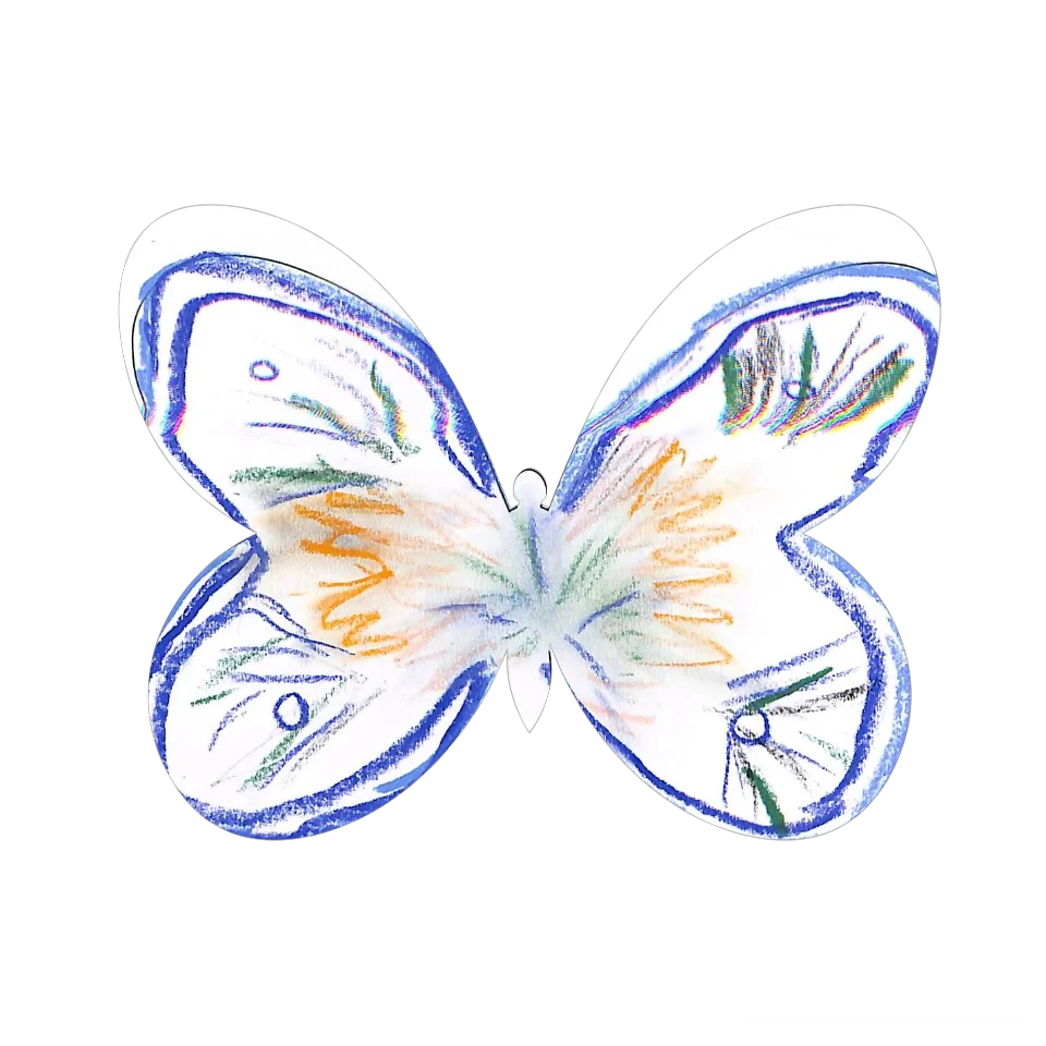 Original Butterfly Image