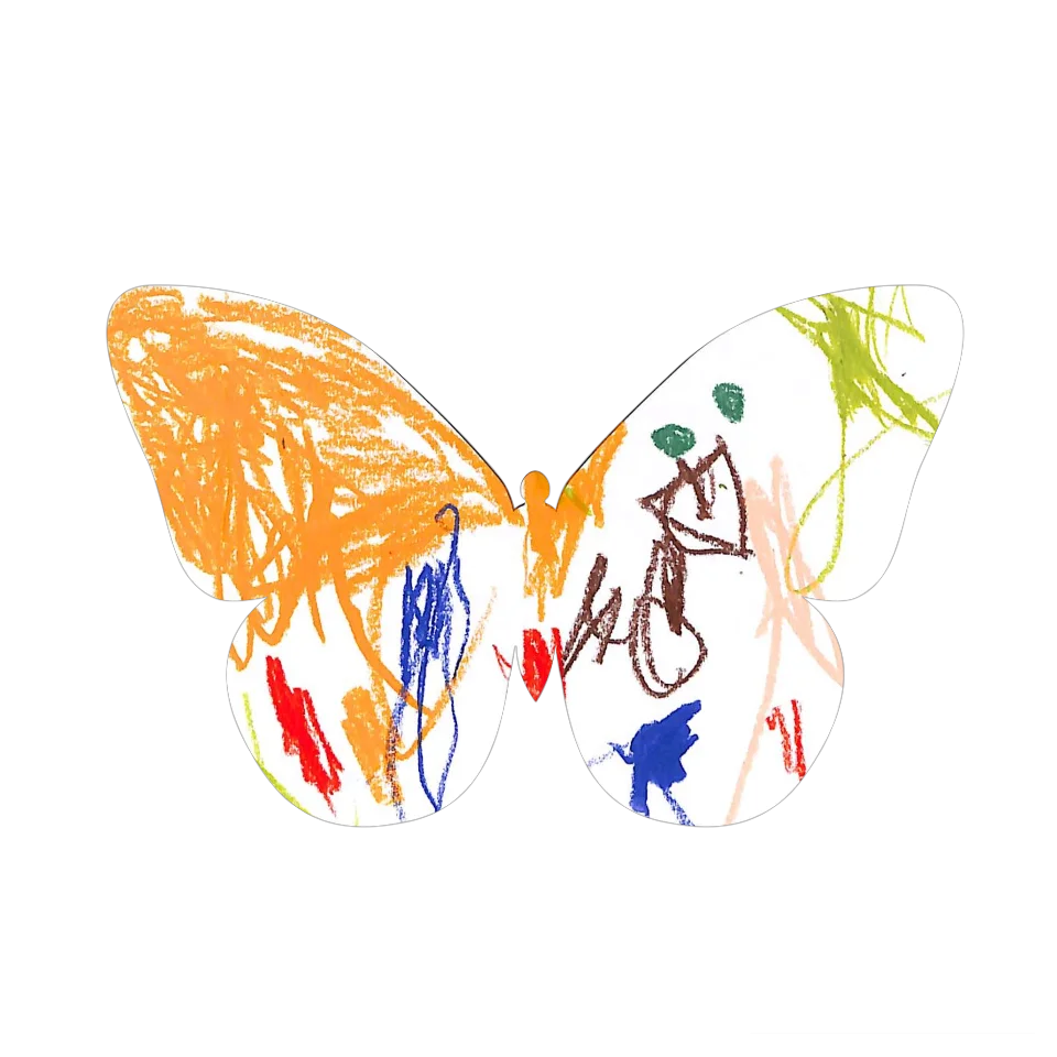 Original Butterfly Image
