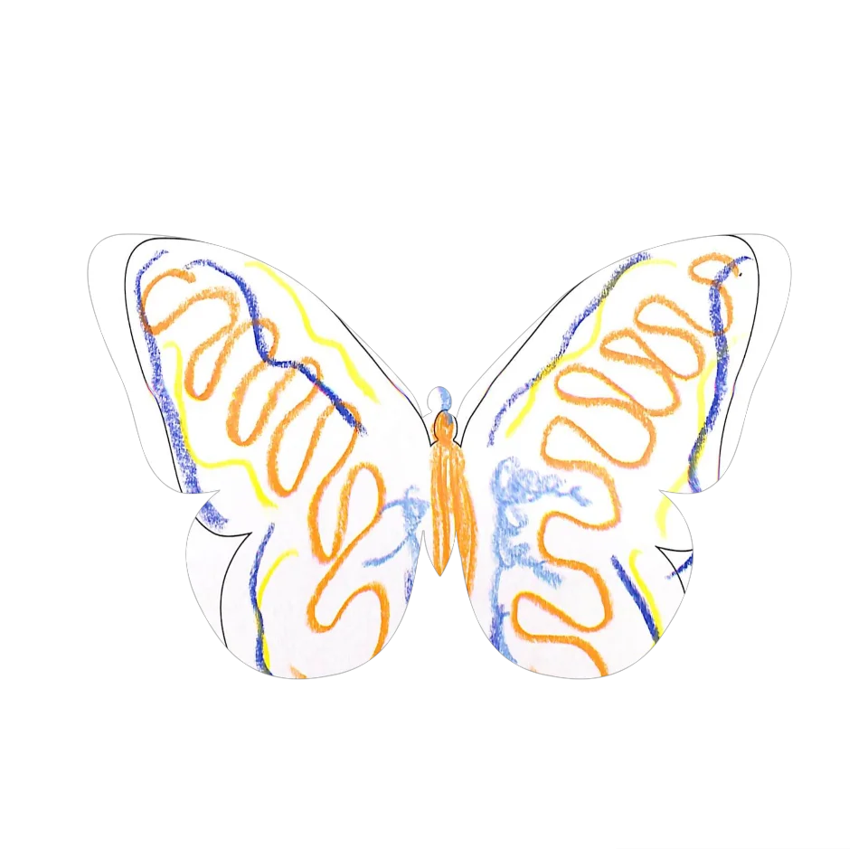 Original Butterfly Image