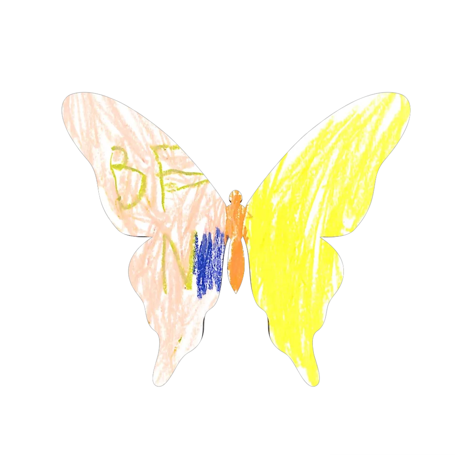 Original Butterfly Image