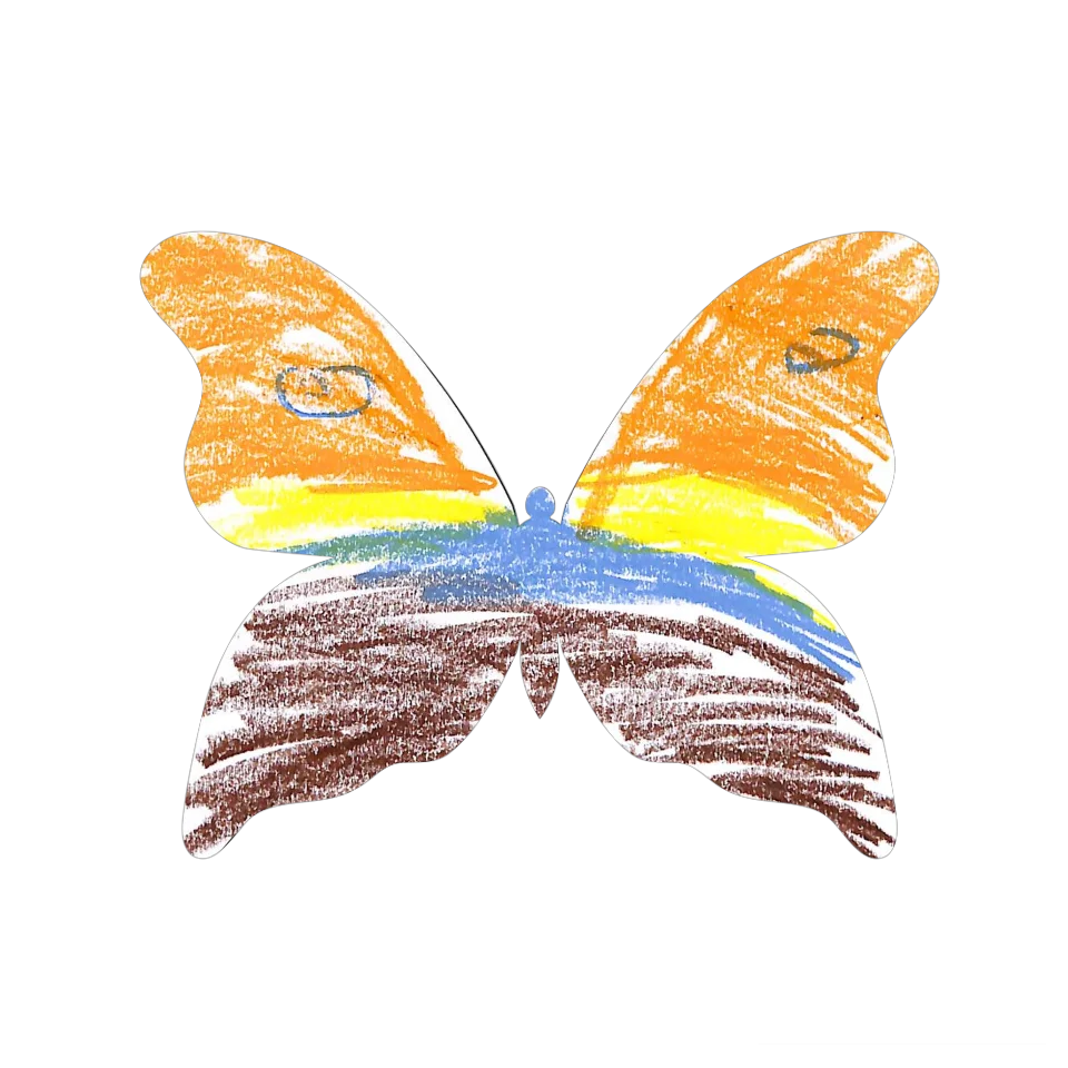 Original Butterfly Image