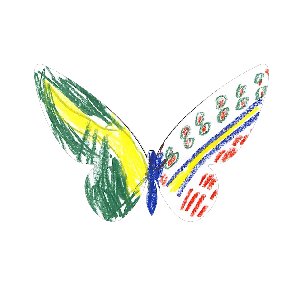 Original Butterfly Image