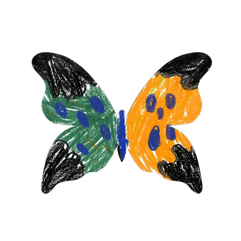 Original Butterfly Image