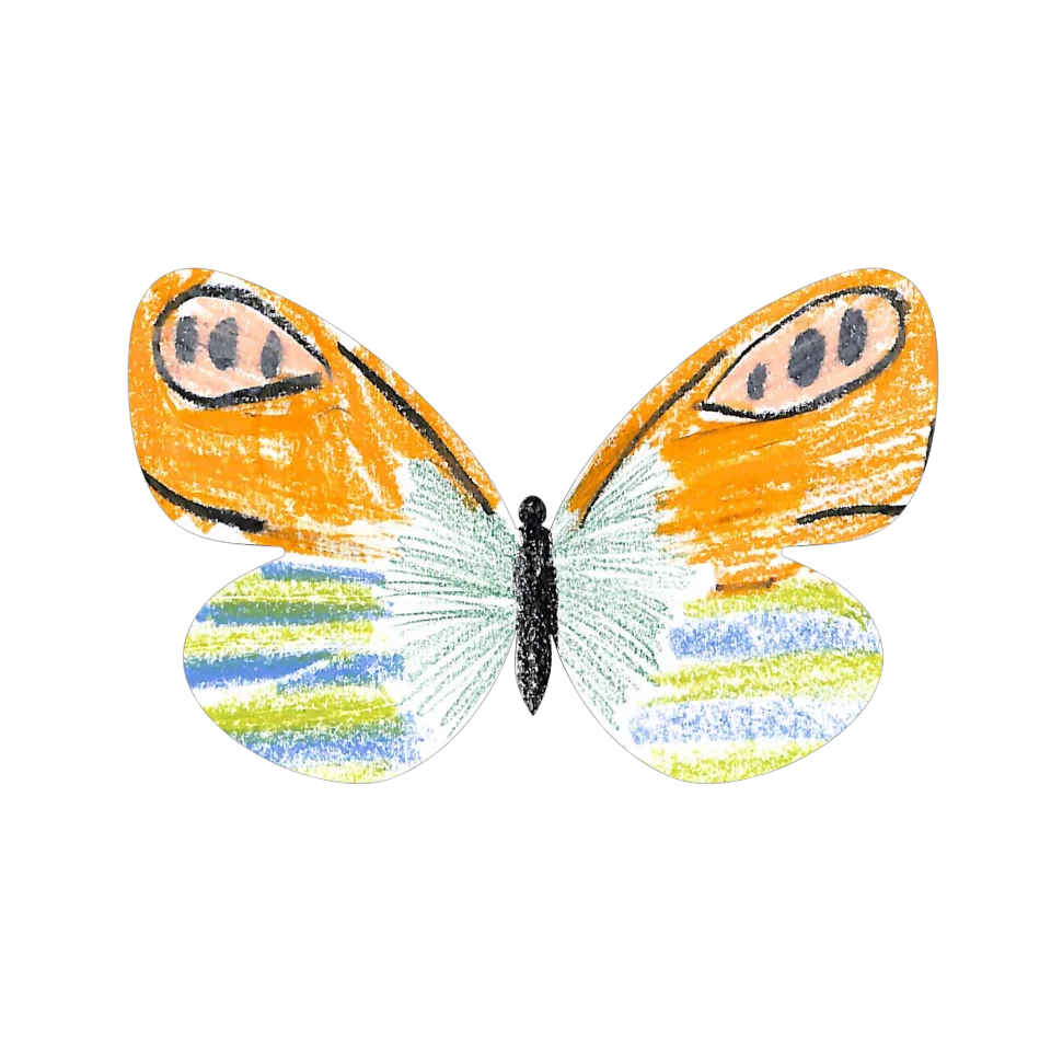 Original Butterfly Image