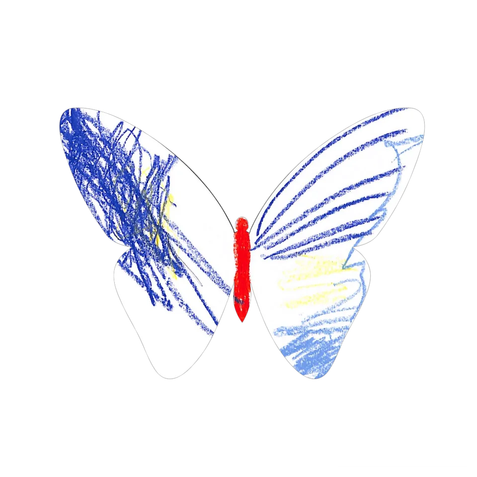 Original Butterfly Image