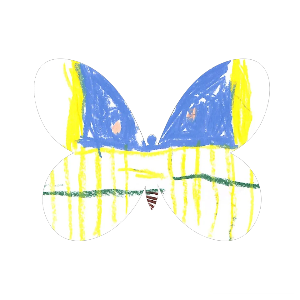 Original Butterfly Image