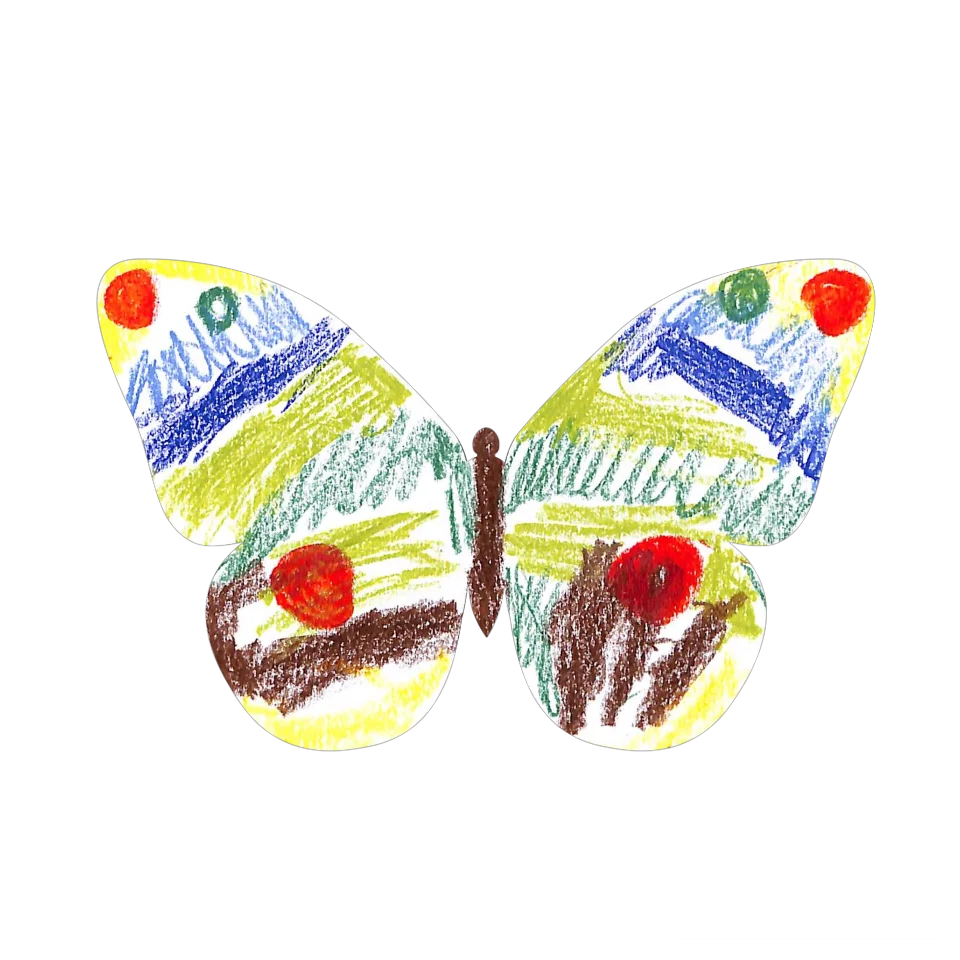 Original Butterfly Image