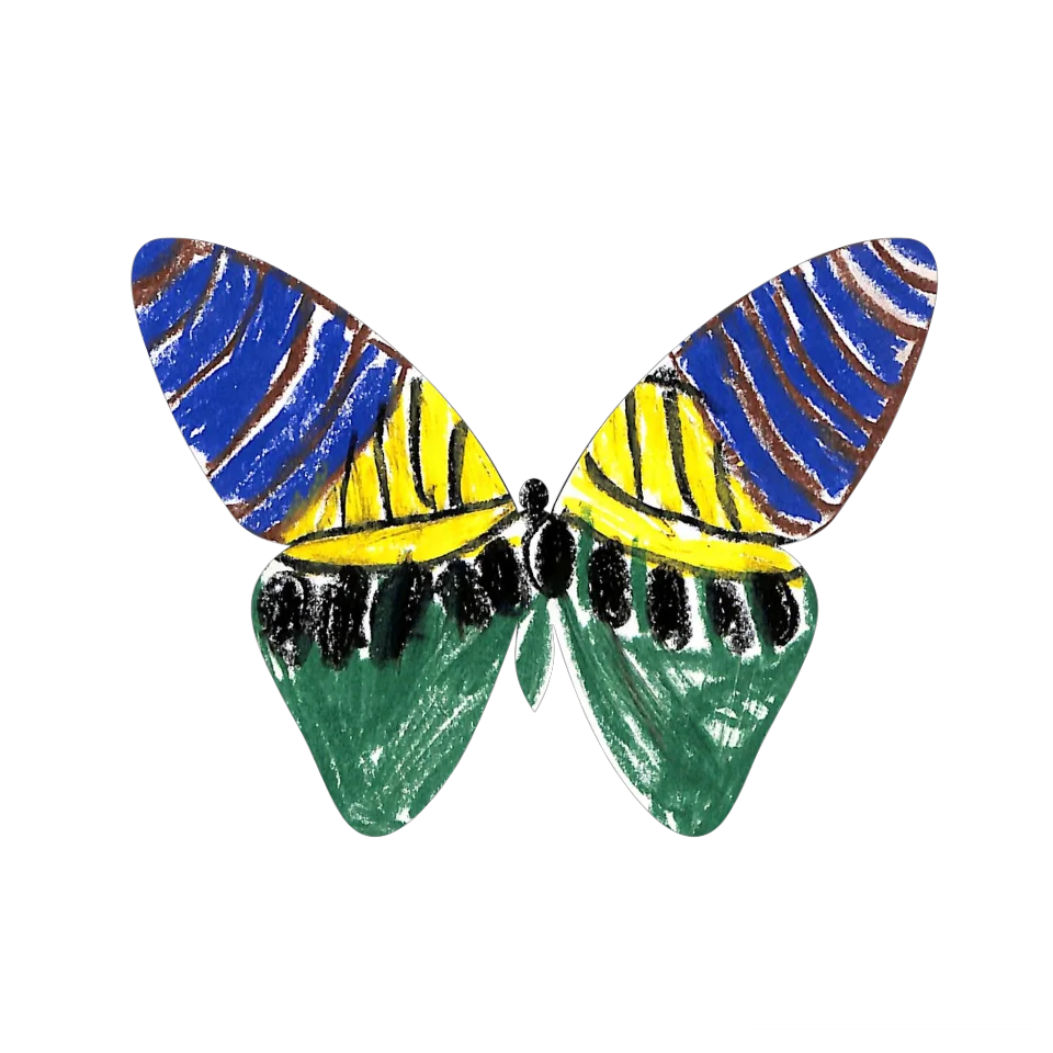 Original Butterfly Image