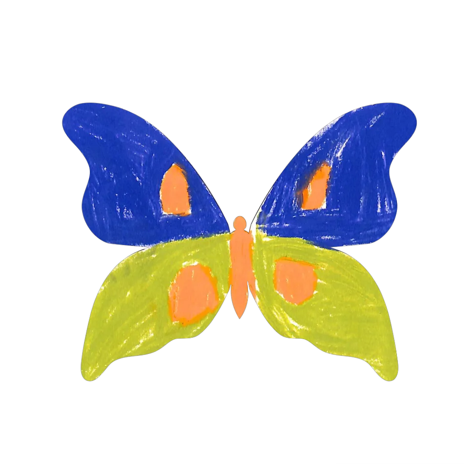 Original Butterfly Image