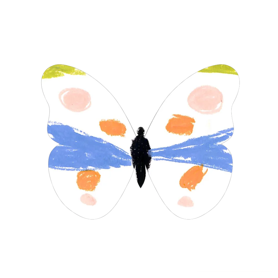 Original Butterfly Image