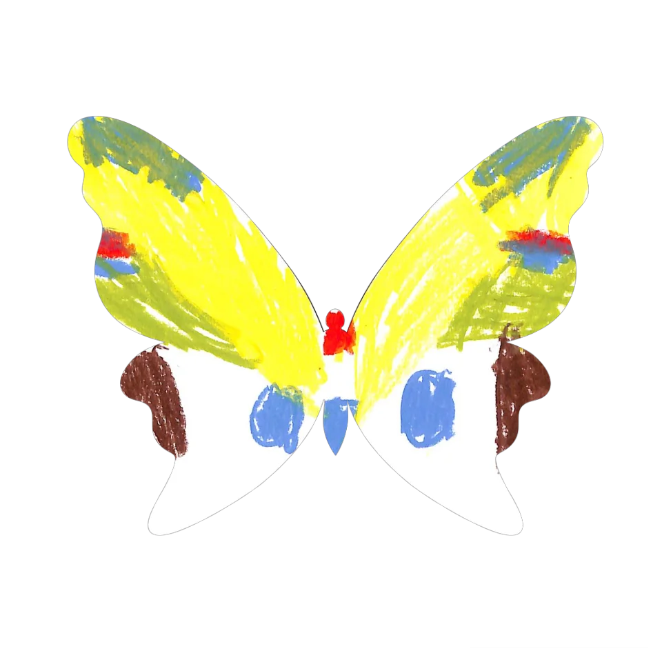 Original Butterfly Image
