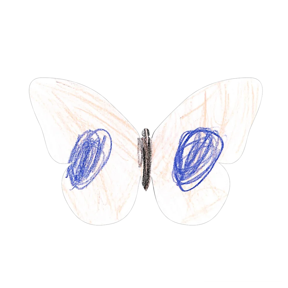Original Butterfly Image
