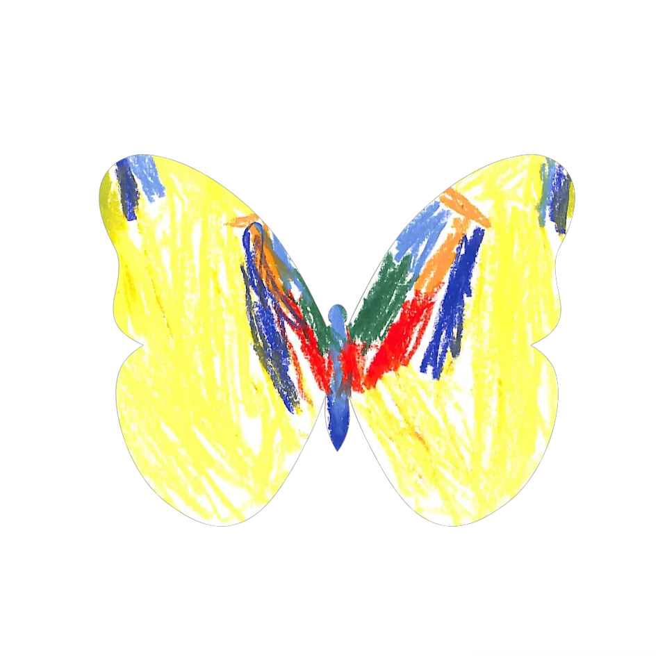 Original Butterfly Image