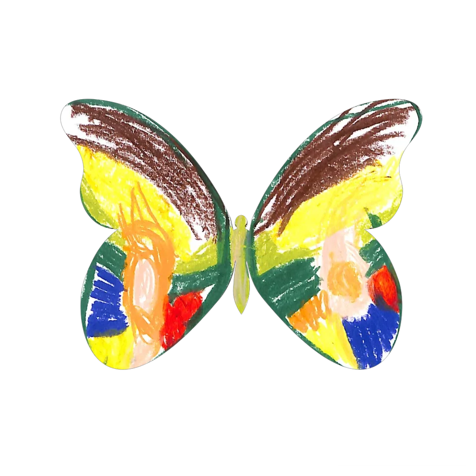 Original Butterfly Image