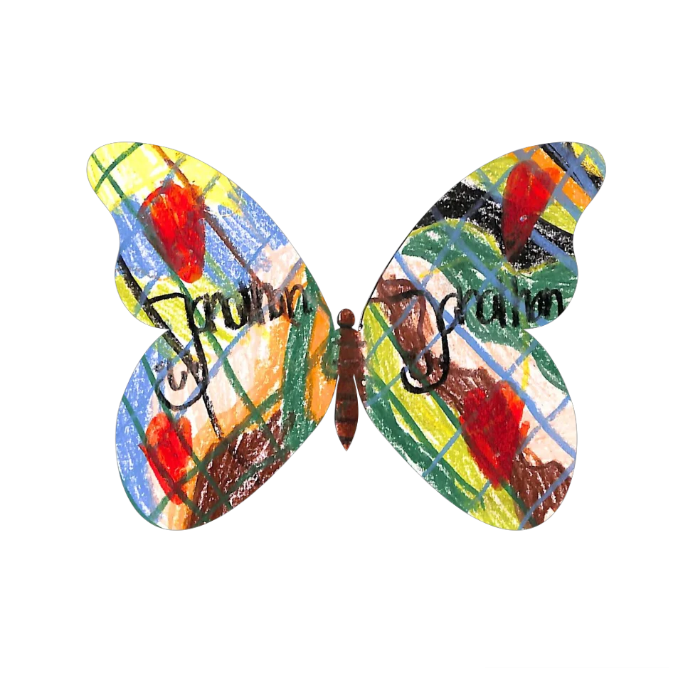 Original Butterfly Image