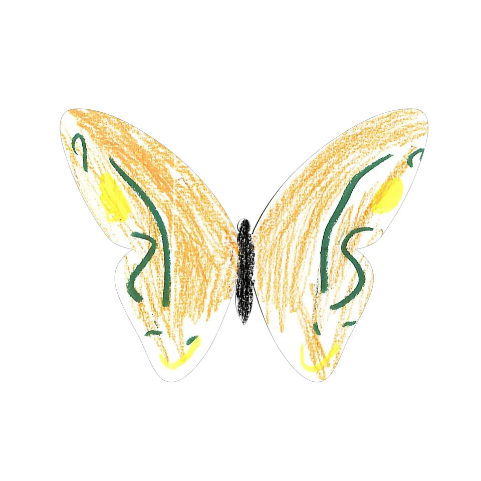Original Butterfly Image