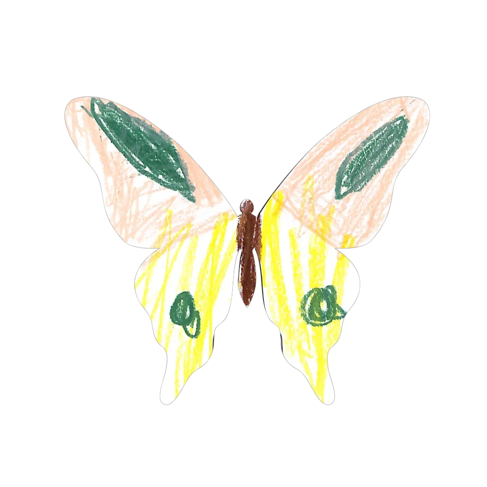 Original Butterfly Image