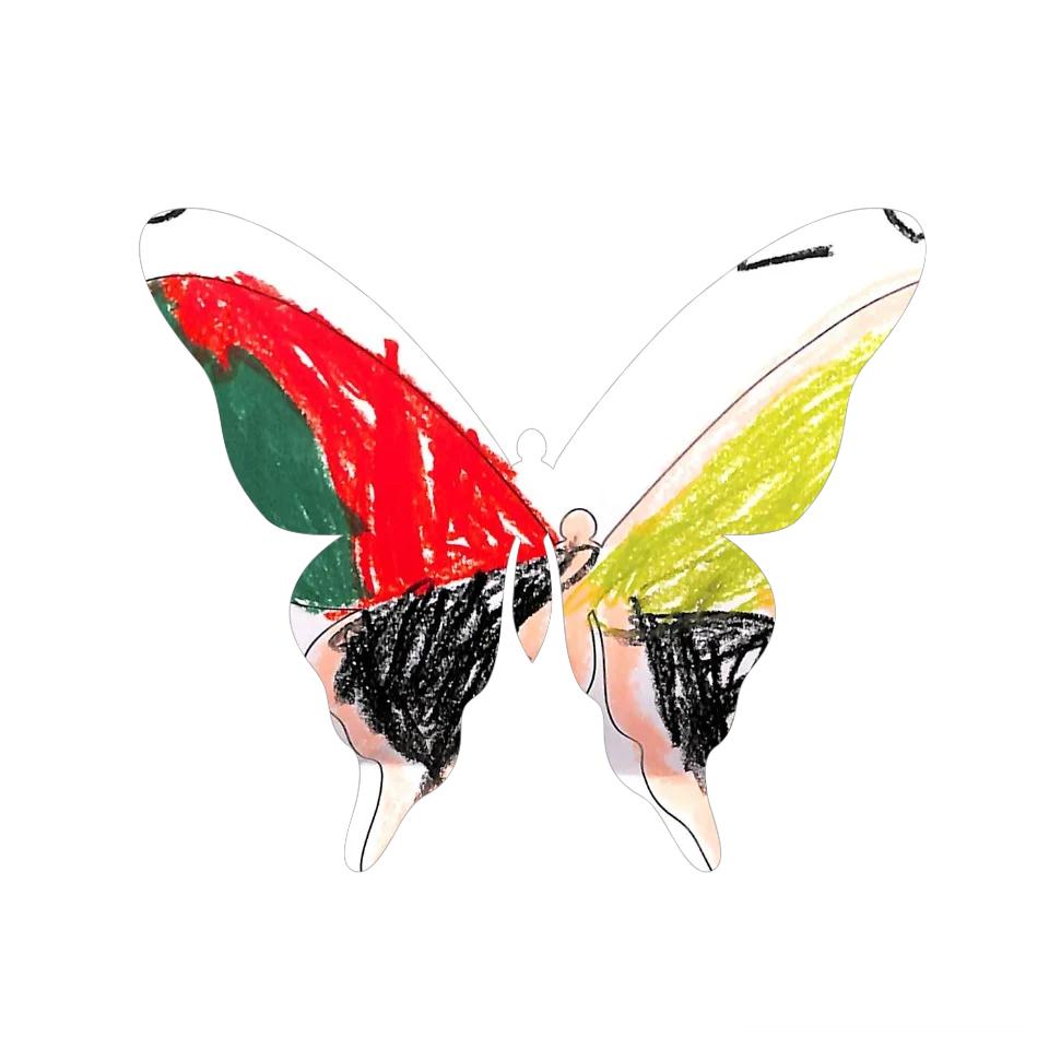 Original Butterfly Image