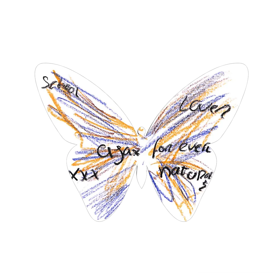 Original Butterfly Image
