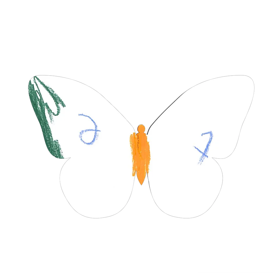 Original Butterfly Image