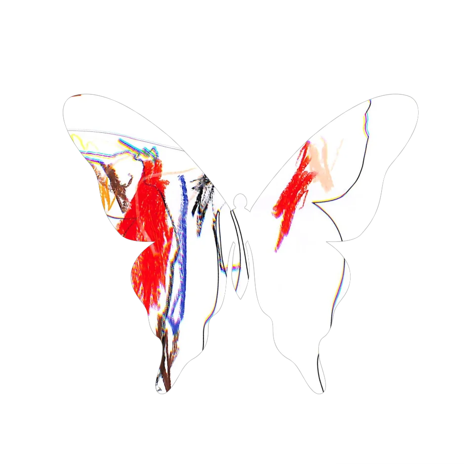 Original Butterfly Image