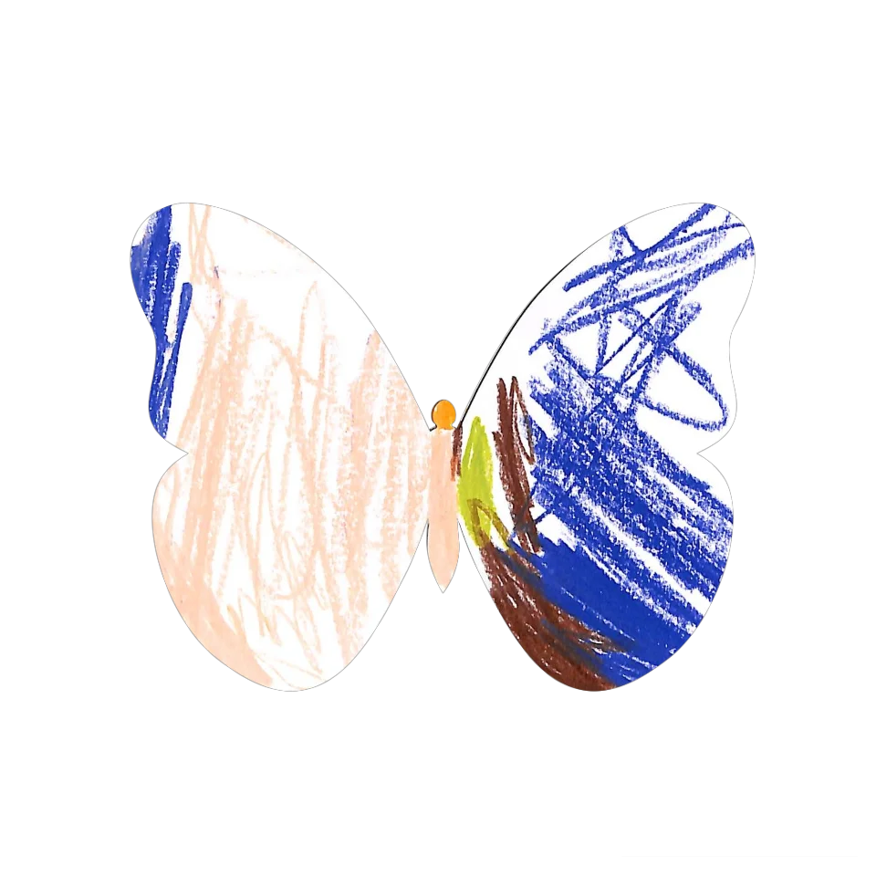 Original Butterfly Image