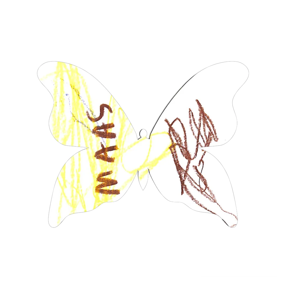 Original Butterfly Image