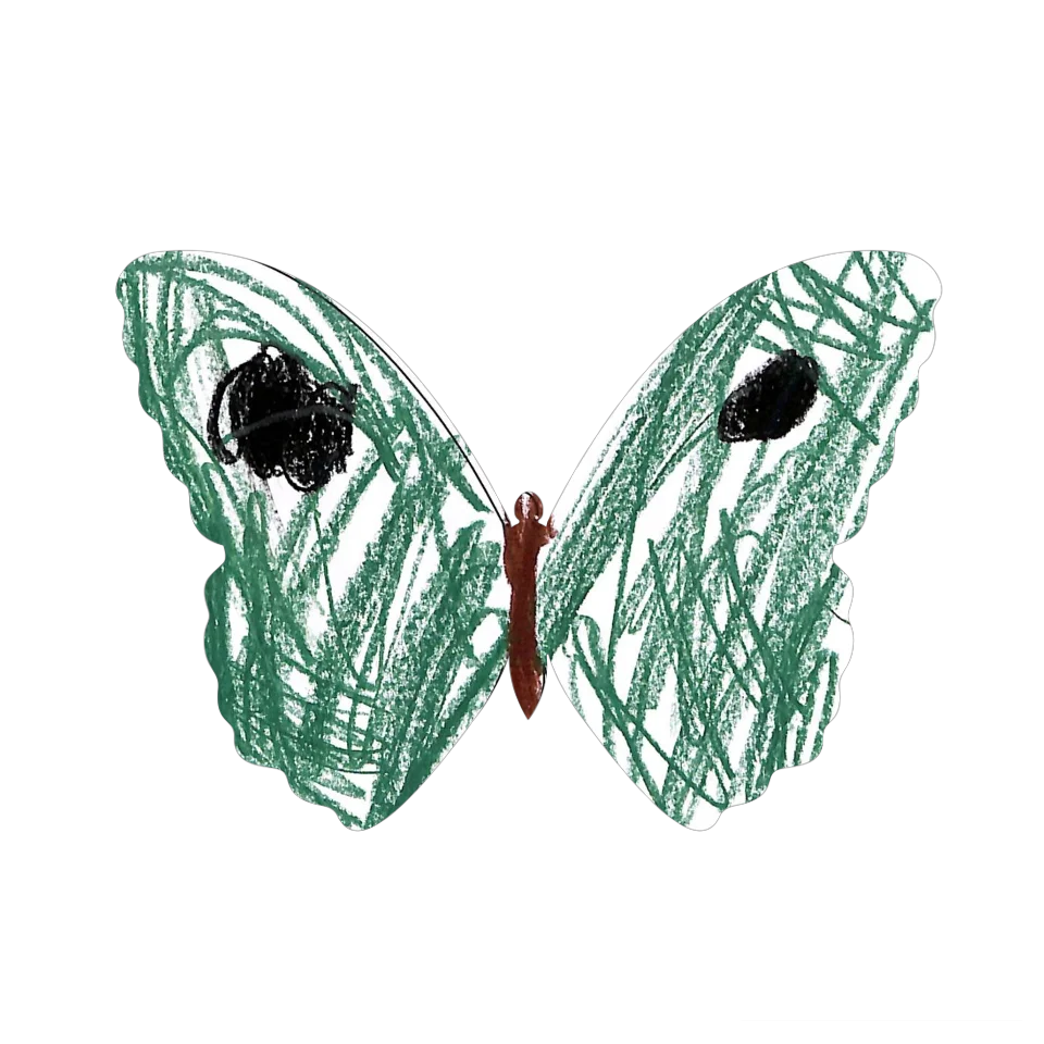 Original Butterfly Image
